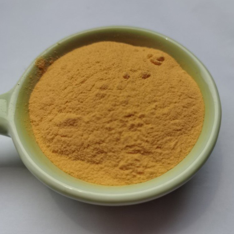 dha and vitamin b9 supplements